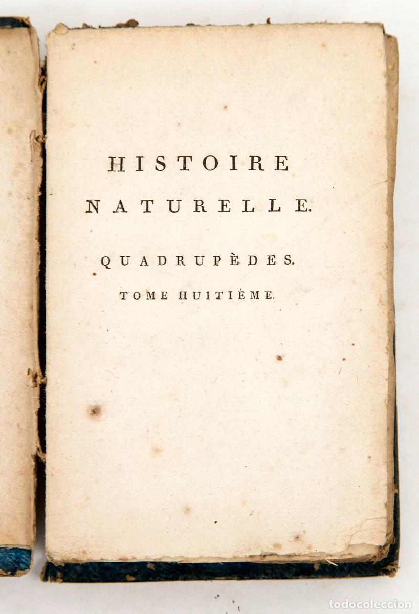 Libros antiguos: BUFFON - CUADR&Uacute;PEDOS - Foto 4