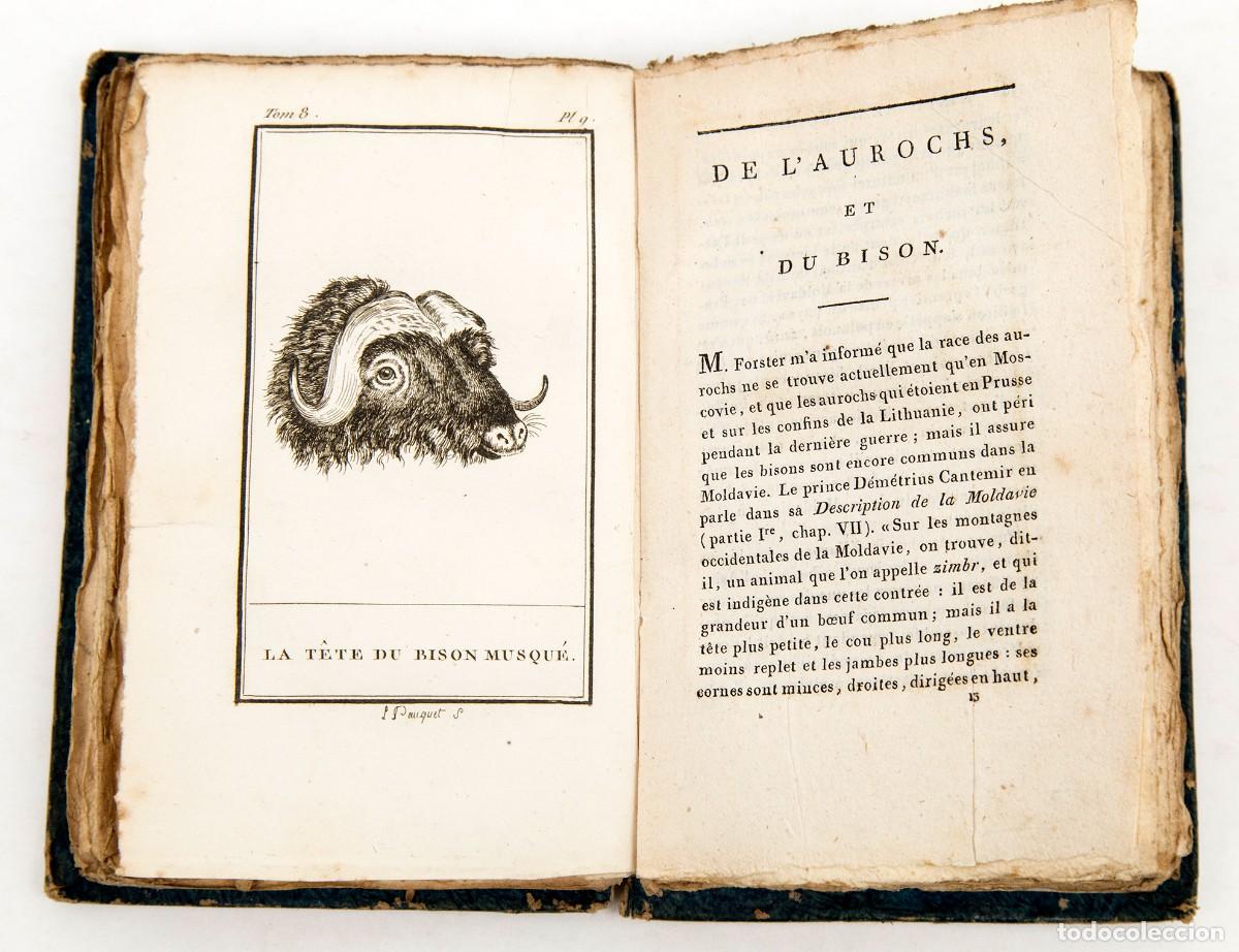 Libros antiguos: BUFFON - CUADR&Uacute;PEDOS - Foto 7
