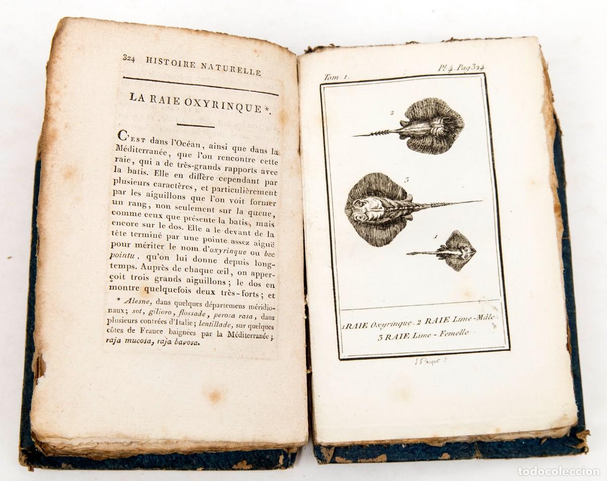 Libros antiguos: LACEPEDE - POISSON - PECES - BUFFON - Foto 4