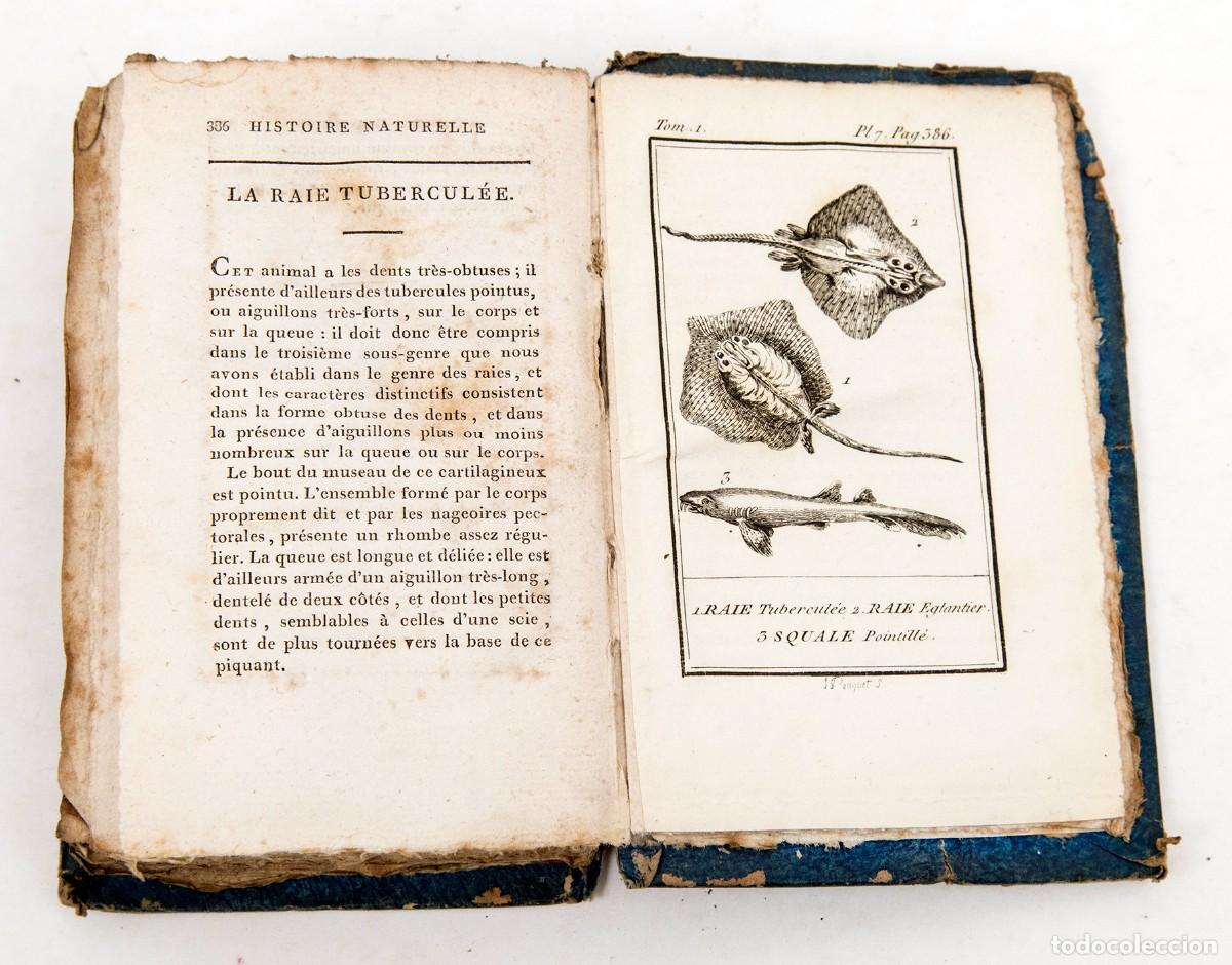 Libros antiguos: LACEPEDE - POISSON - PECES - BUFFON - Foto 5
