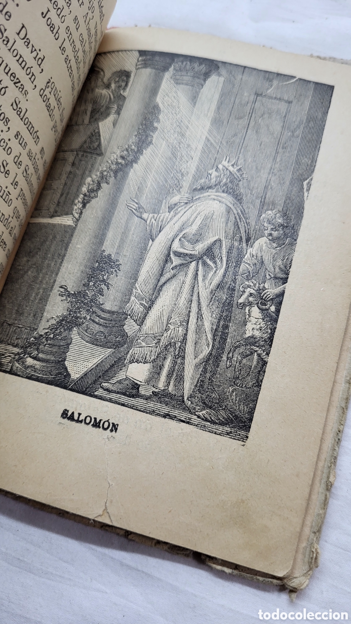 Libros antiguos: Historia Sagrada 1900 - Foto 3