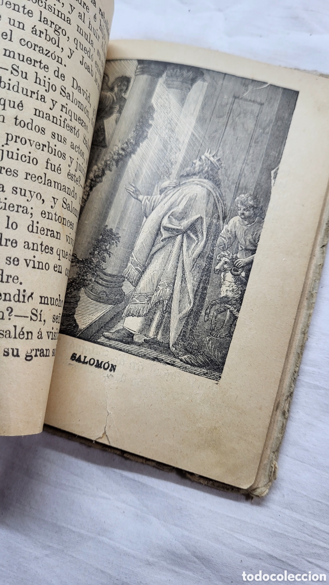 Libros antiguos: Historia Sagrada 1900 - Foto 8