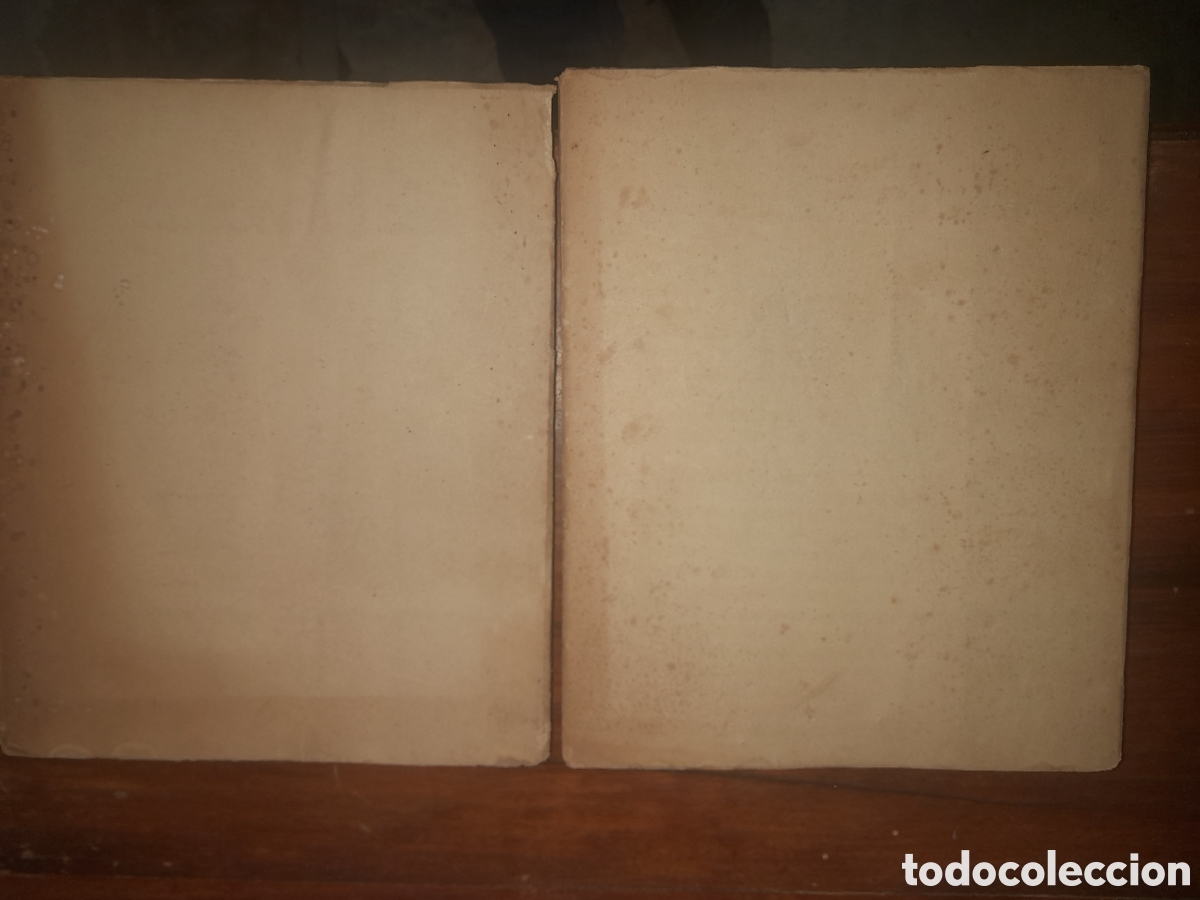 Libros antiguos: La Palestina illustree - Foto 2