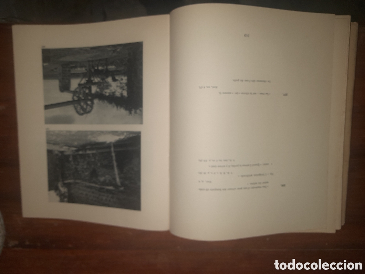 Libros antiguos: La Palestina illustree - Foto 5