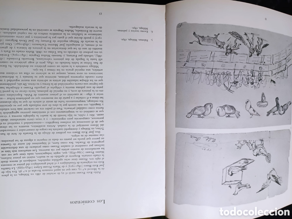 Libros antiguos: Picasso el nacimiento de un genio - Foto 4