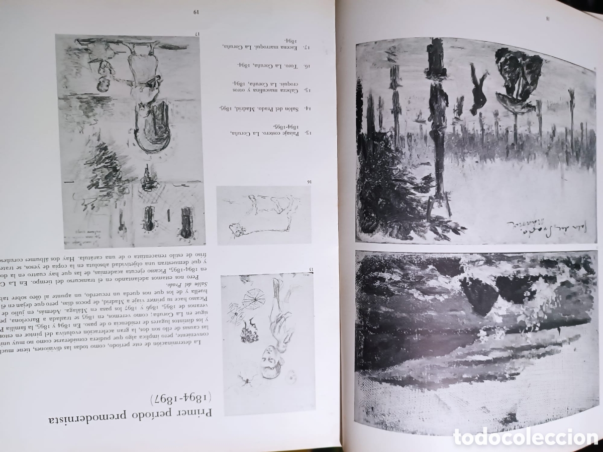 Libros antiguos: Picasso el nacimiento de un genio - Foto 5