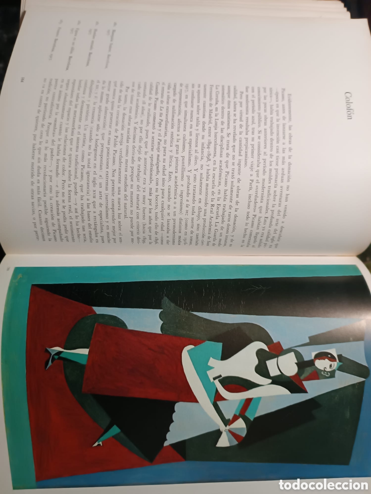Libros antiguos: Picasso el nacimiento de un genio - Foto 10