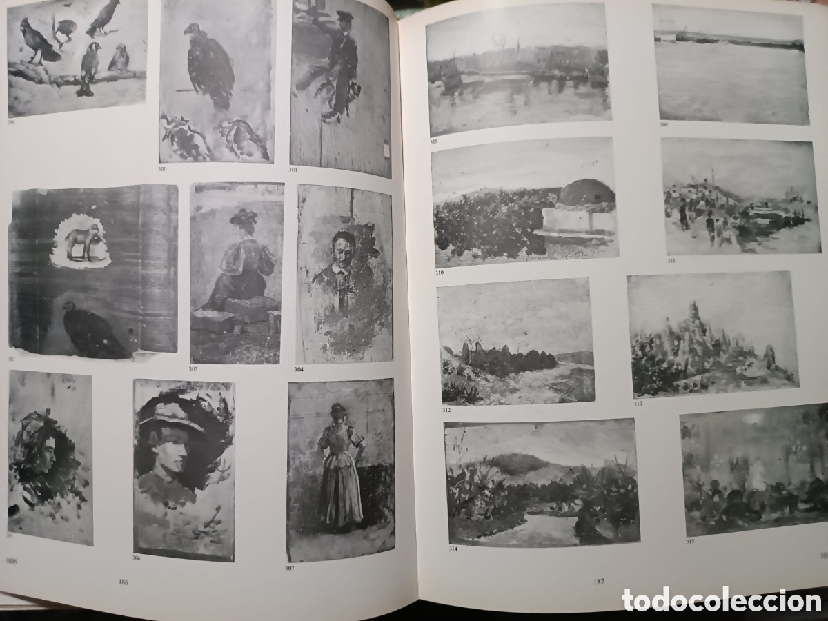 Libros antiguos: Picasso el nacimiento de un genio - Foto 11