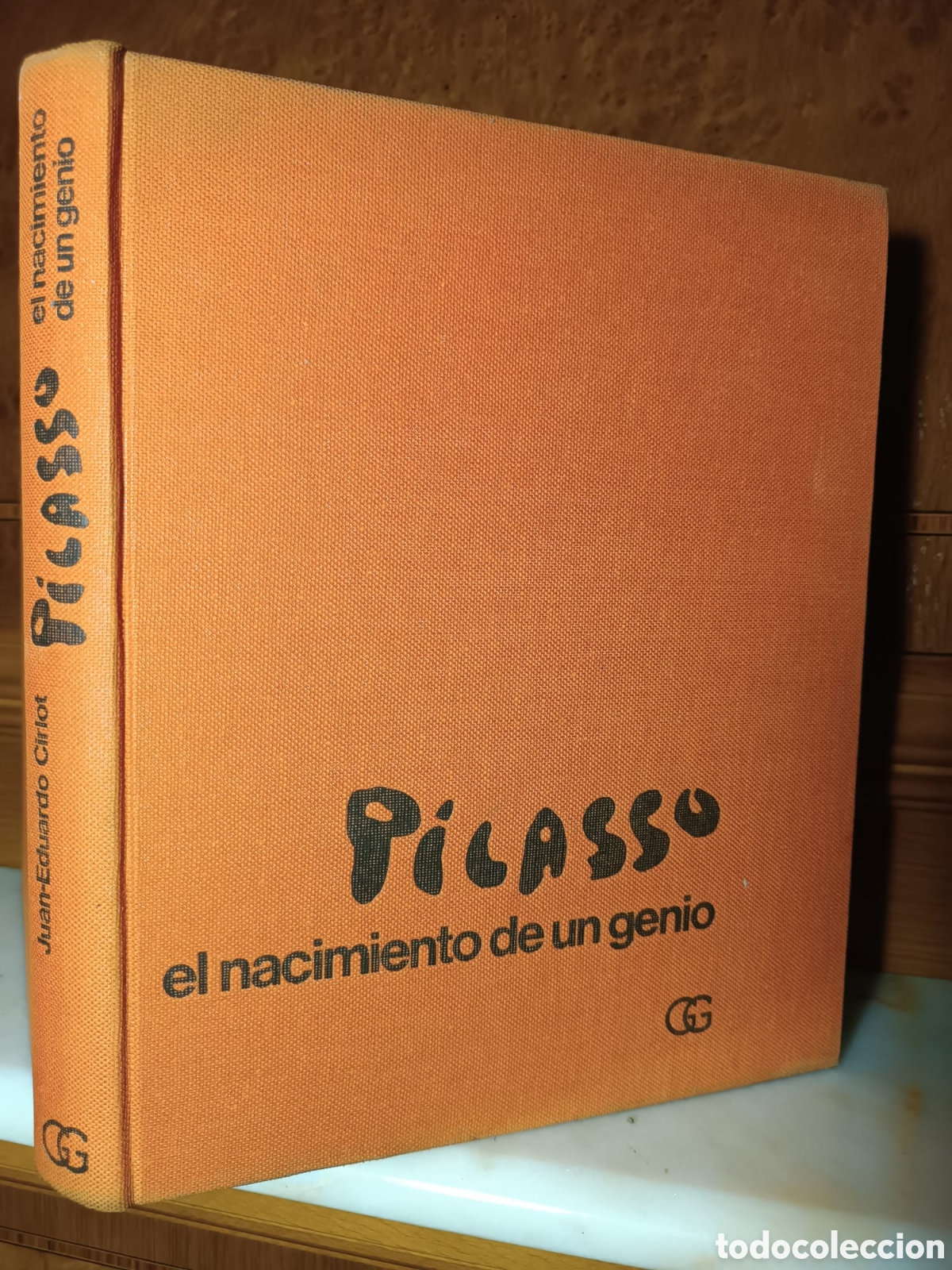 Libros antiguos: Picasso el nacimiento de un genio - Foto 1