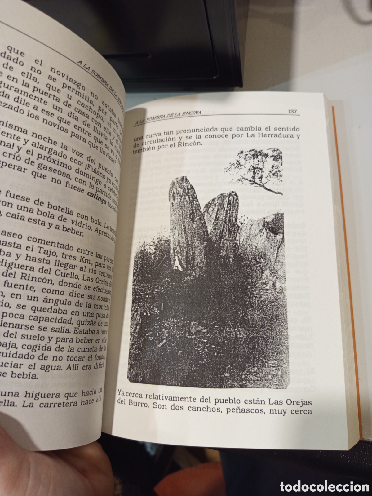 Libros antiguos: A la sombra de la encina - Foto 4