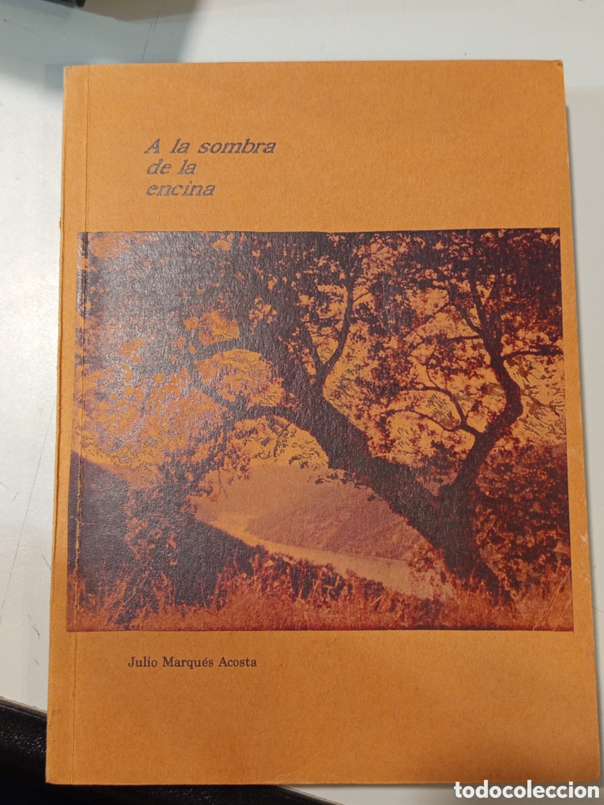 Libros antiguos: A la sombra de la encina - Foto 1
