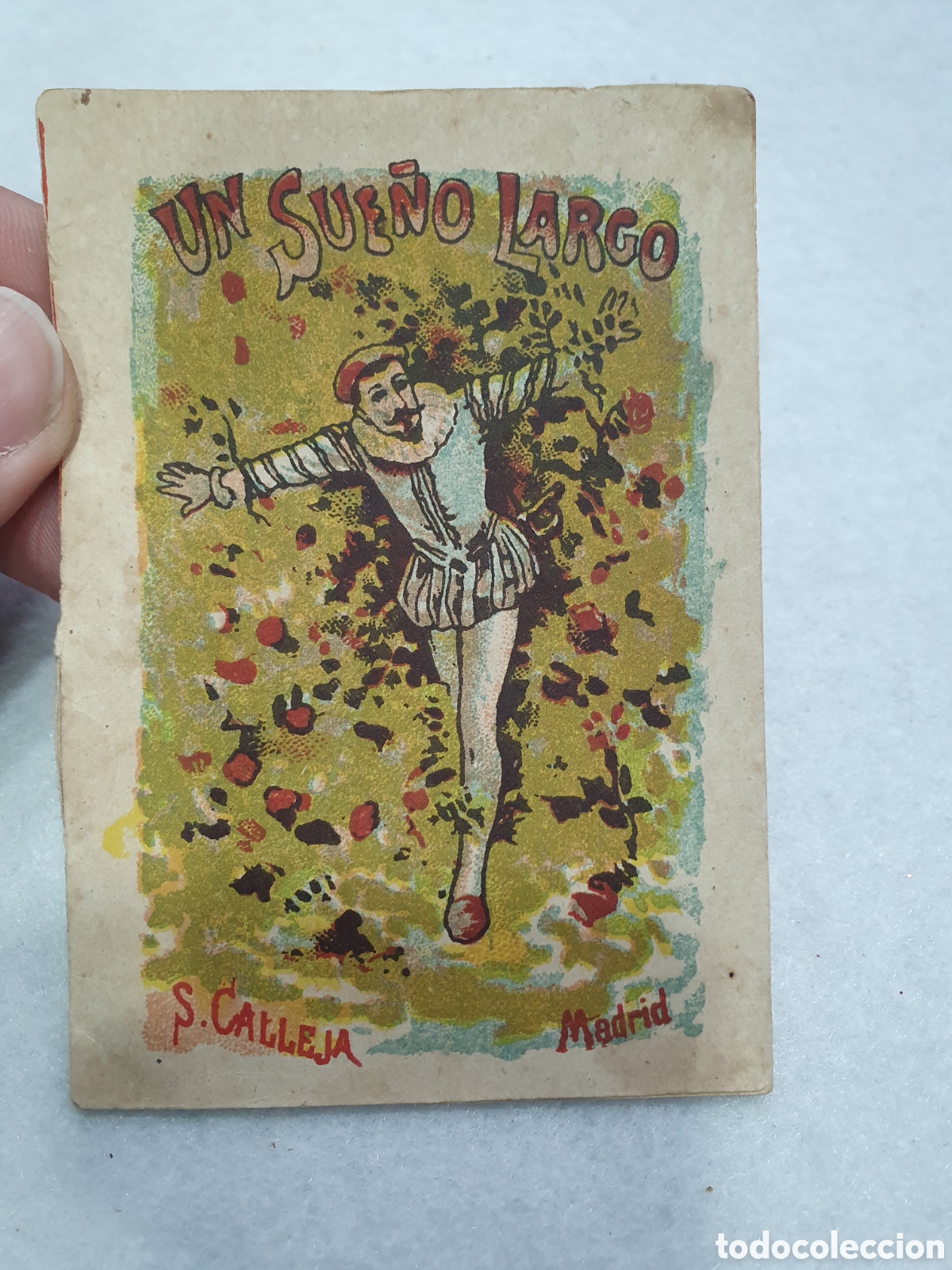 Libros antiguos: Un sue&ntilde;o largo. Calleja. (L30) - Foto 1