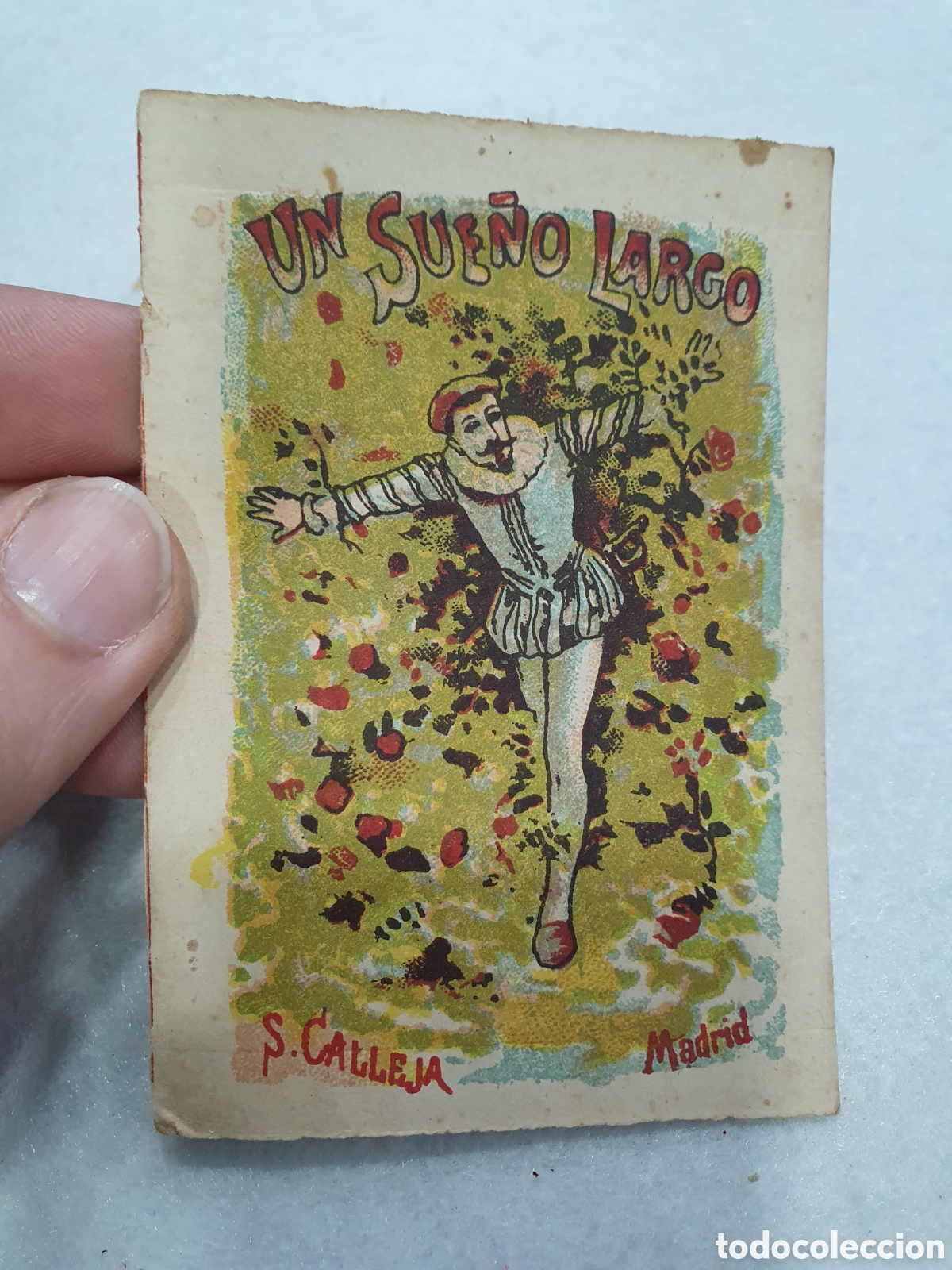 Libros antiguos: Un sue&ntilde;o largo. Calleja. (L30) - Foto 1