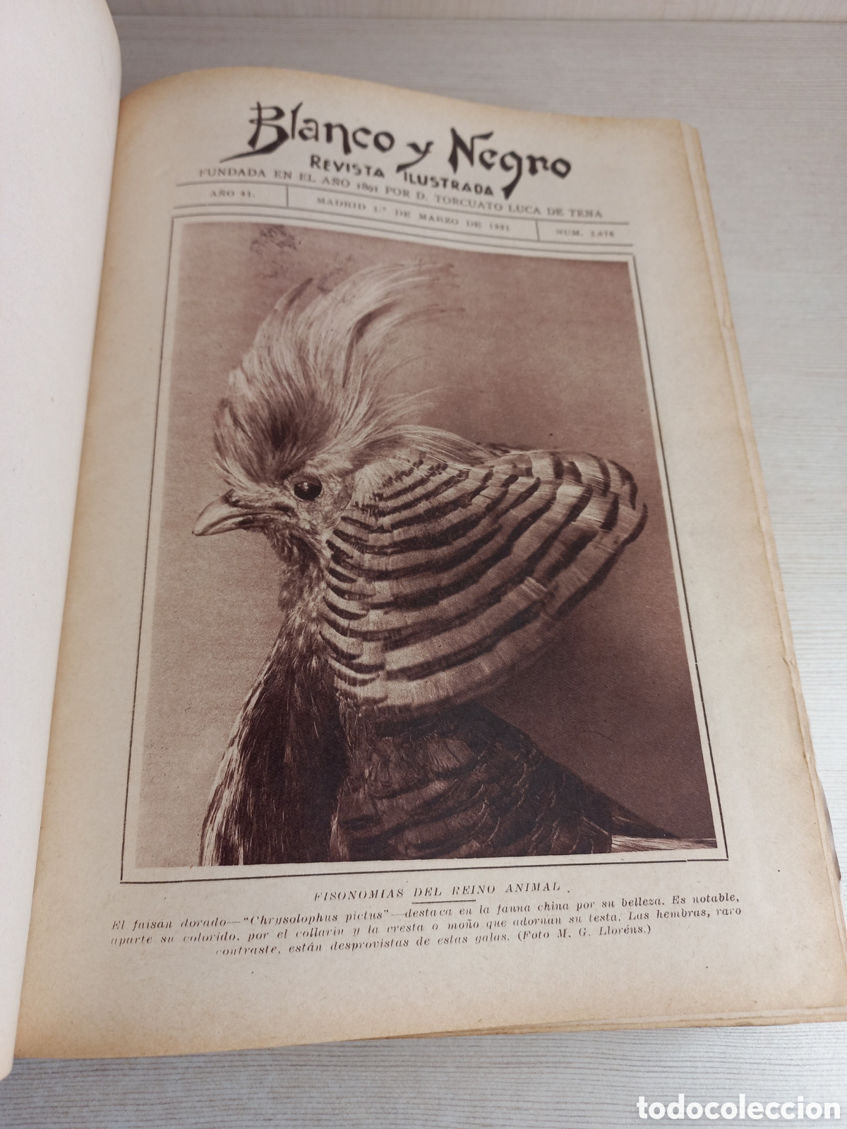 Libros antiguos: Revista Ilustrada Blanco y Negro, 1931. - Foto 5