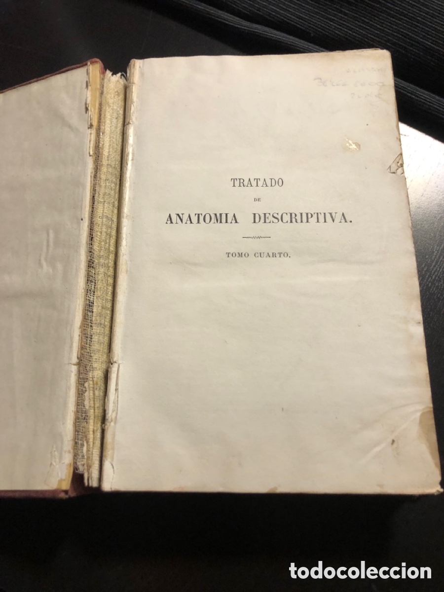 Libros antiguos: Tratado de anatomia descriptiva Sappey Tomo cuarto 1874 - Foto 3