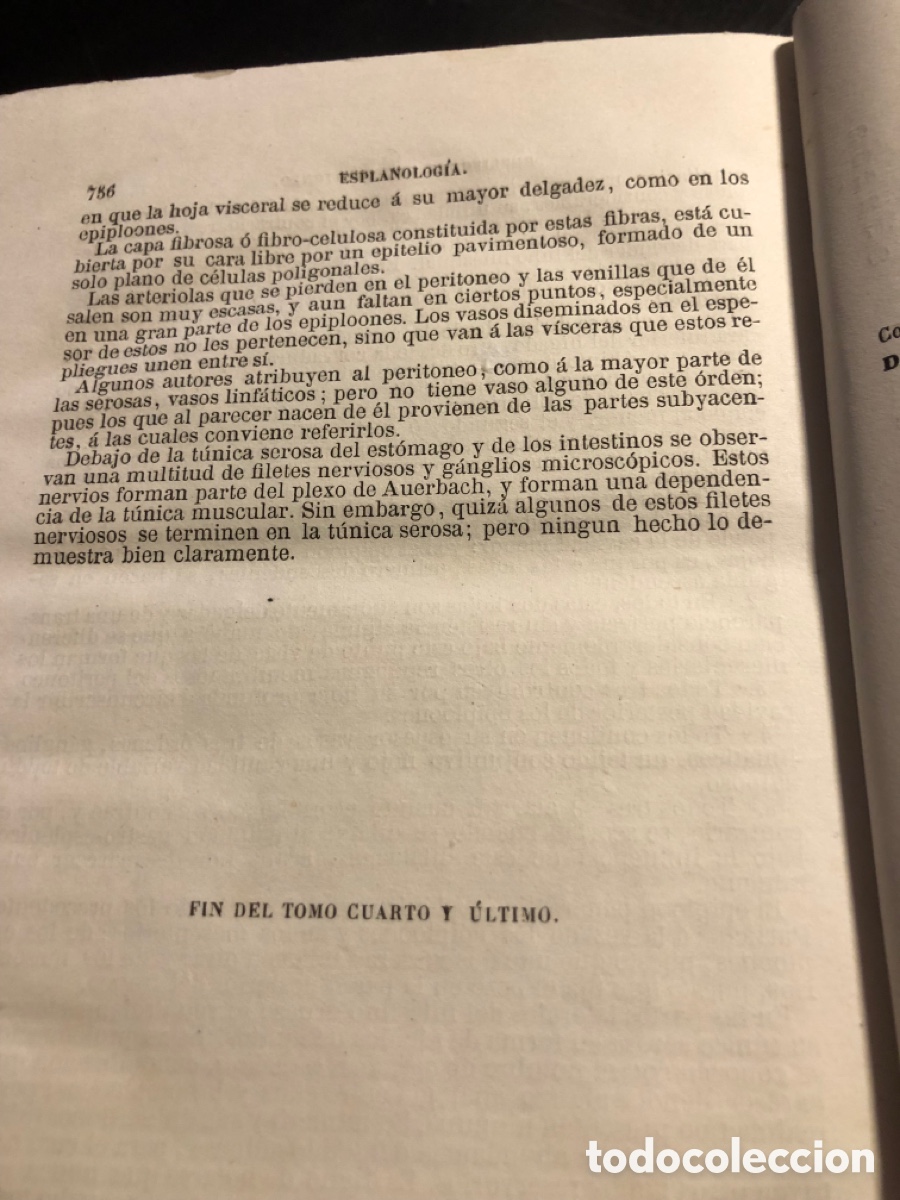 Libros antiguos: Tratado de anatomia descriptiva Sappey Tomo cuarto 1874 - Foto 5