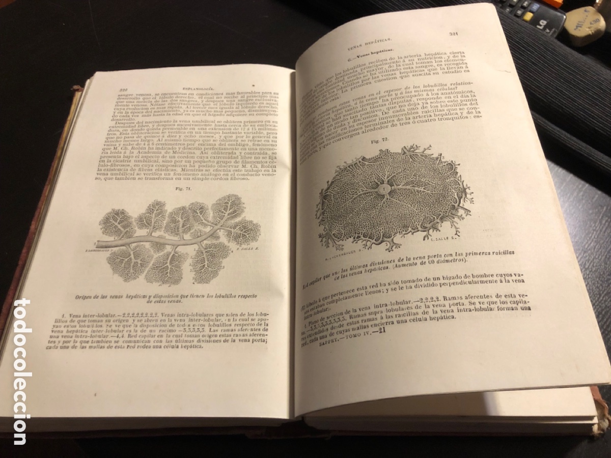 Libros antiguos: Tratado de anatomia descriptiva Sappey Tomo cuarto 1874 - Foto 7