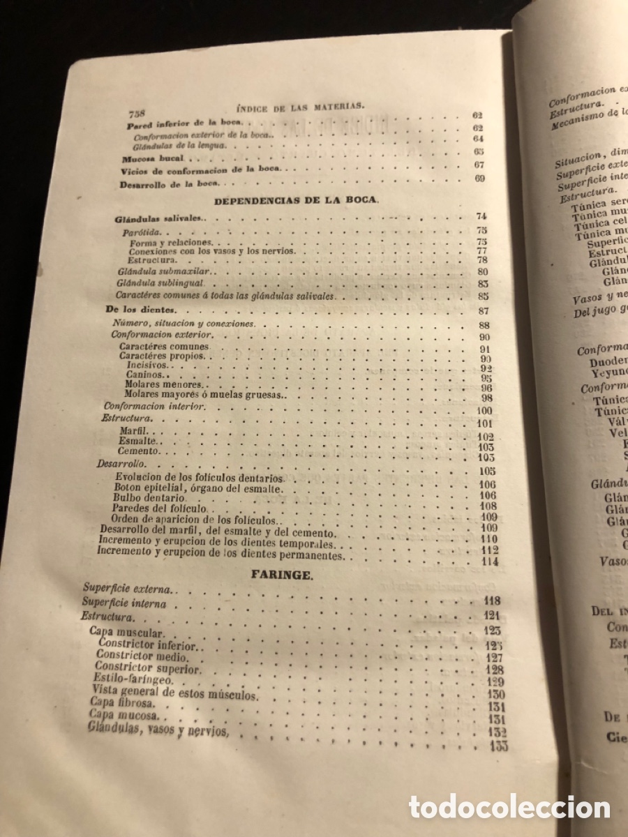 Libros antiguos: Tratado de anatomia descriptiva Sappey Tomo cuarto 1874 - Foto 9