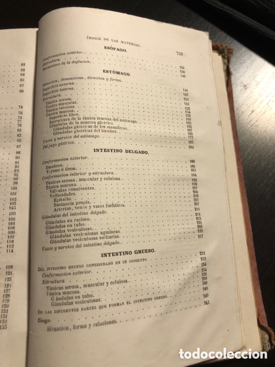 Libros antiguos: Tratado de anatomia descriptiva Sappey Tomo cuarto 1874 - Foto 10