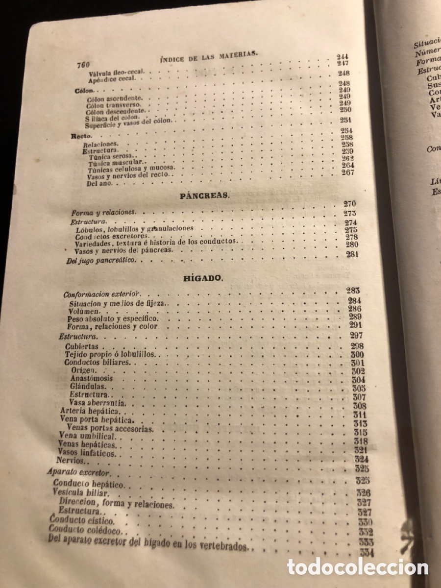Libros antiguos: Tratado de anatomia descriptiva Sappey Tomo cuarto 1874 - Foto 11