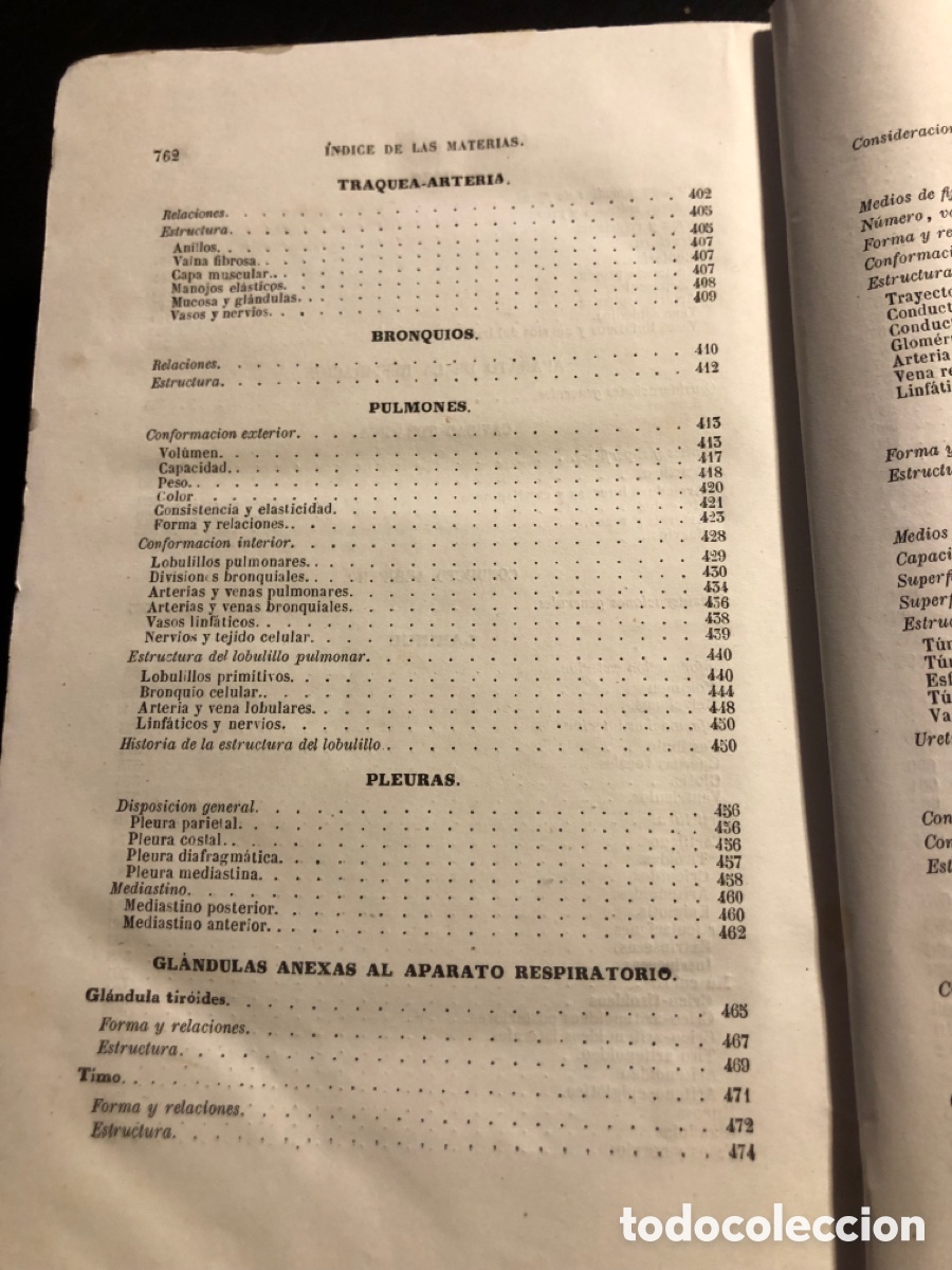 Libros antiguos: Tratado de anatomia descriptiva Sappey Tomo cuarto 1874 - Foto 13