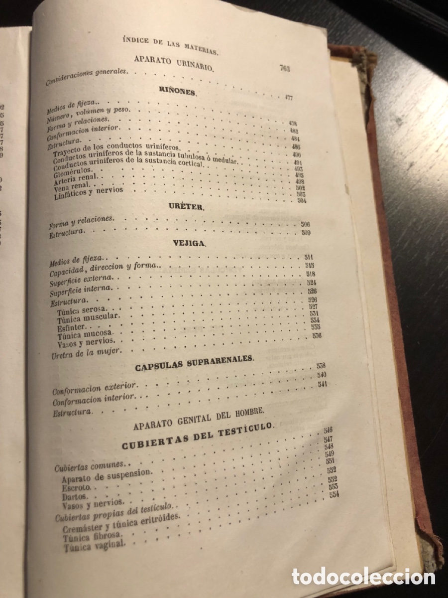 Libros antiguos: Tratado de anatomia descriptiva Sappey Tomo cuarto 1874 - Foto 14