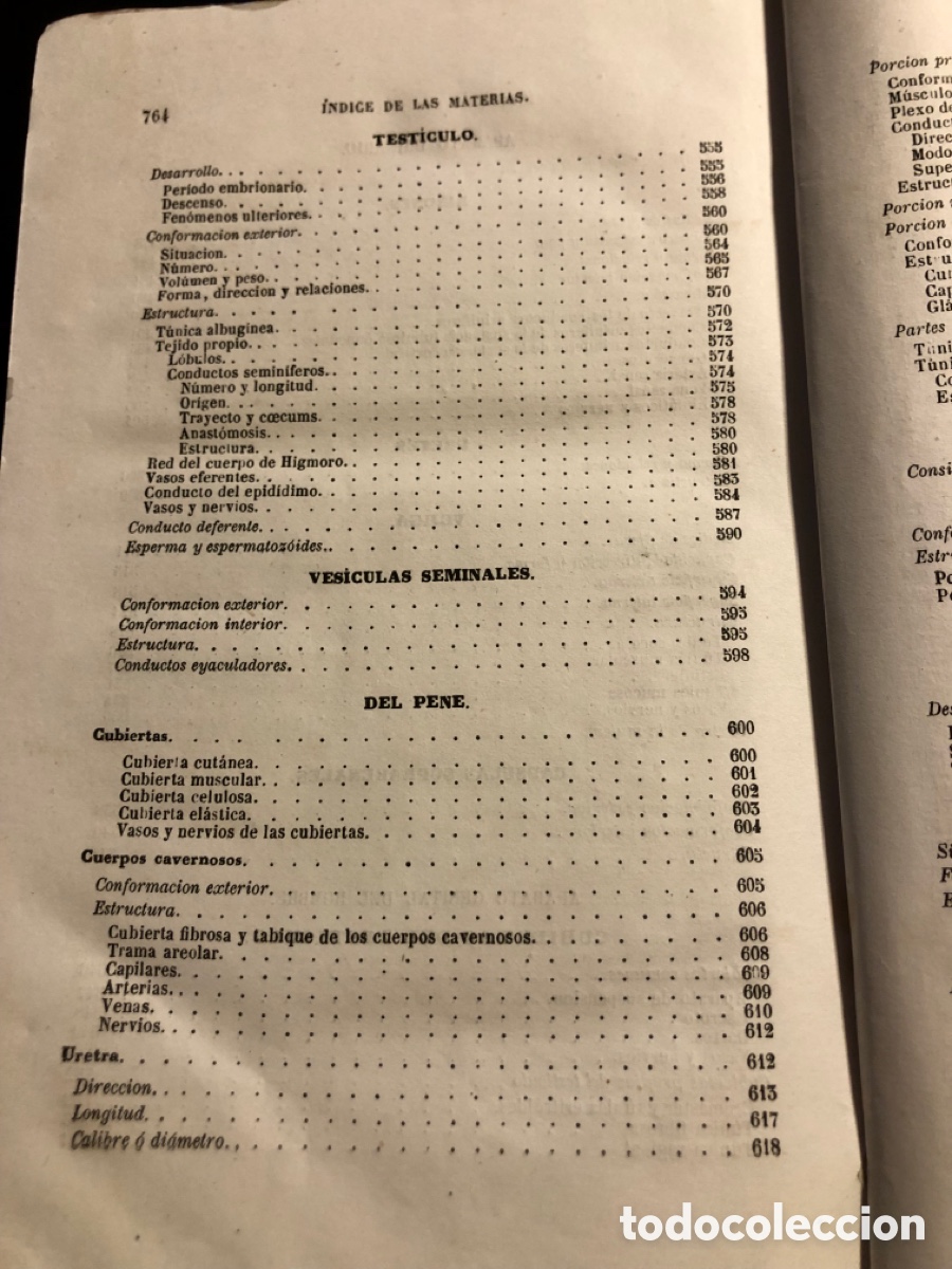 Libros antiguos: Tratado de anatomia descriptiva Sappey Tomo cuarto 1874 - Foto 15