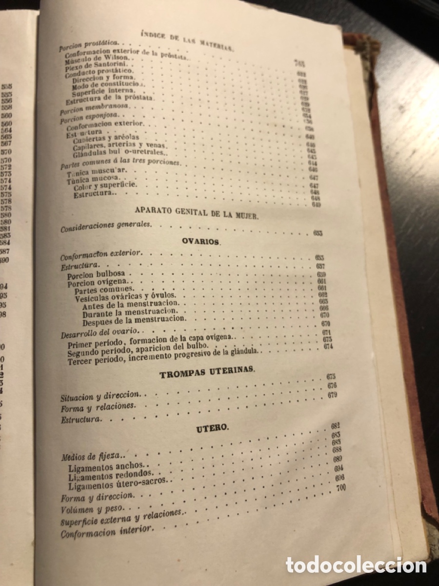 Libros antiguos: Tratado de anatomia descriptiva Sappey Tomo cuarto 1874 - Foto 16