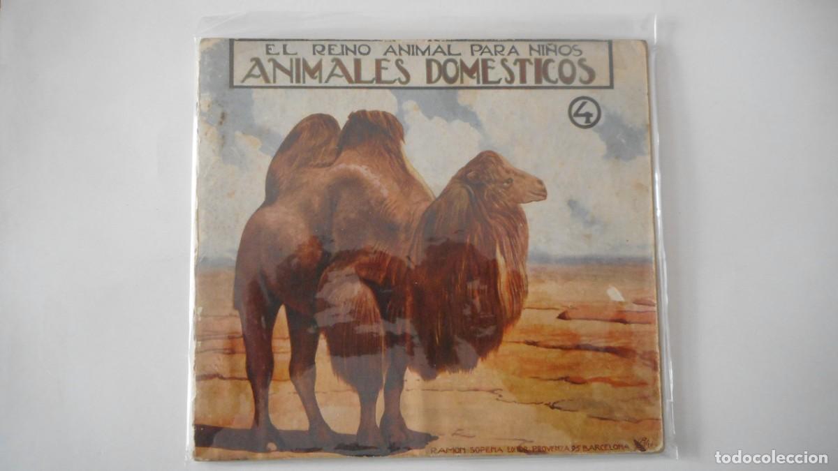 Libros antiguos: EL REINO DE LOS ANIMALES PARA NI&Ntilde;OS. ANIMALES DOMESTICOS N&ordm; 4 RAMON SOPENA/ LIBROS