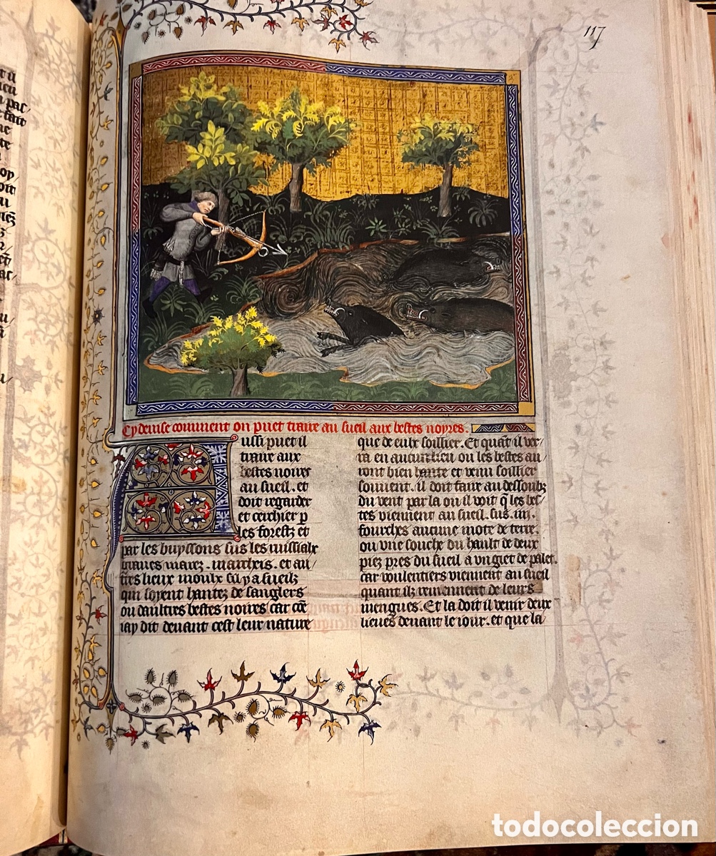 Libros antiguos: &ldquo; Libro de Caza &ldquo; de Gaston F&eacute;bus . Edici&oacute;n Facs&iacute;mil Moleiro . - Foto 4