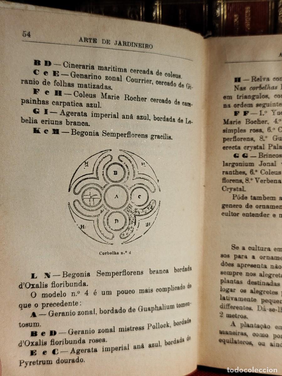 Libros antiguos: 1927. Arte de jardineiro. - Foto 8