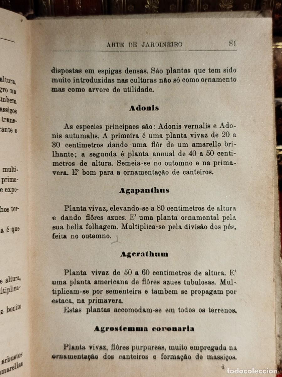 Libros antiguos: 1927. Arte de jardineiro. - Foto 9