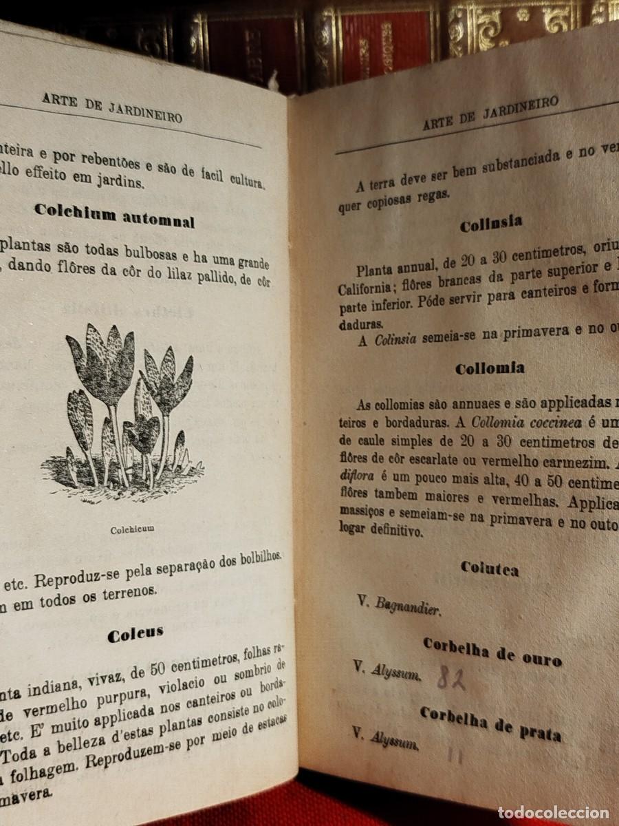 Libros antiguos: 1927. Arte de jardineiro. - Foto 11
