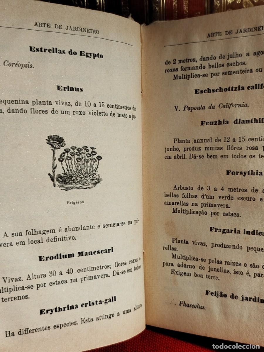 Libros antiguos: 1927. Arte de jardineiro. - Foto 12