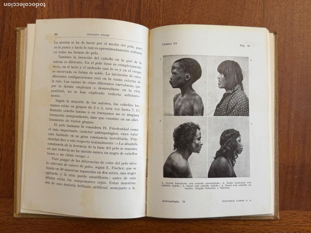 Libros antiguos: Colecci&oacute;n Labor Ernesto Pruzzi. Antropolog&iacute;a. - Foto 2