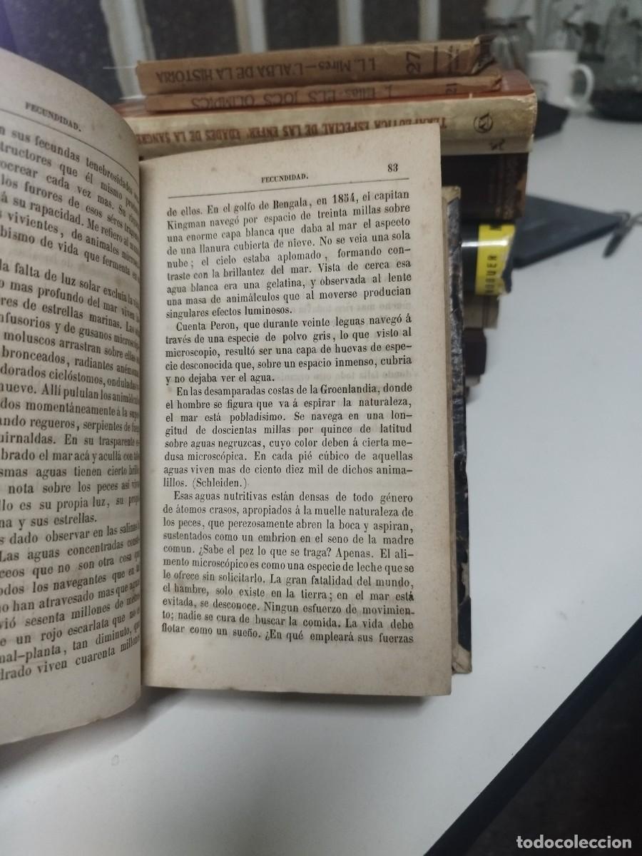 Libros antiguos: EL MAR . J. MICHELET 1875. El pajaro. 1867. - Foto 3