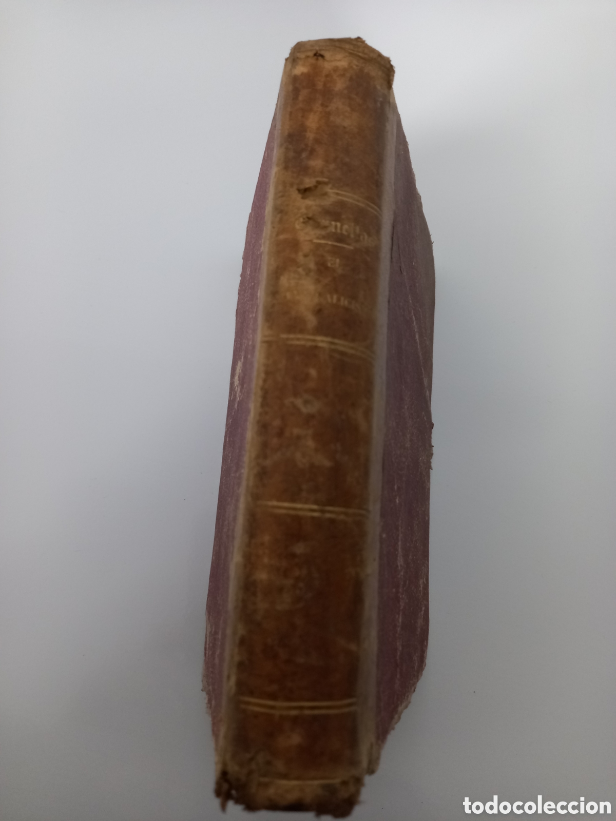 Libros antiguos: El Antigalicismo. Clemente Cornellas. Madrid 1865 - Foto 1