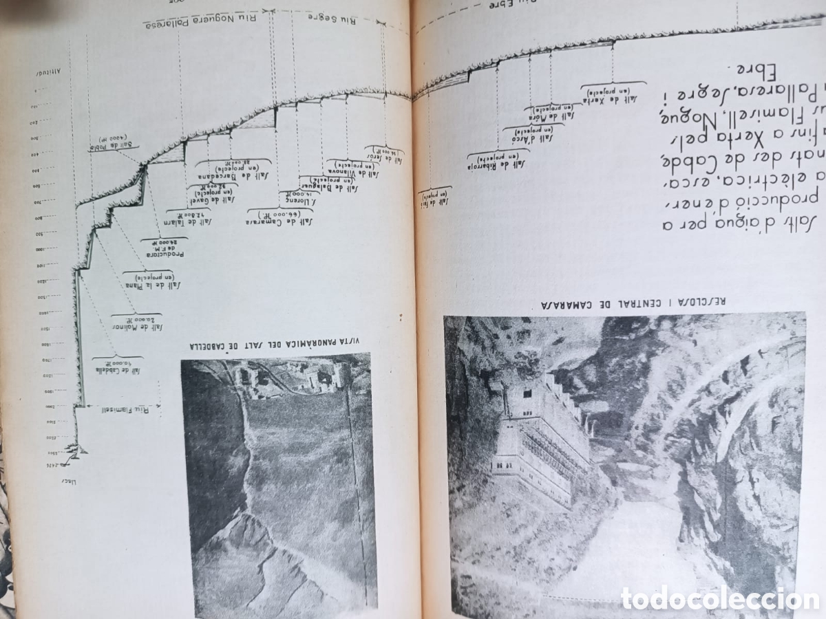 Libros antiguos: Terra i &Agrave;nima, primera edici&oacute; - Foto 7