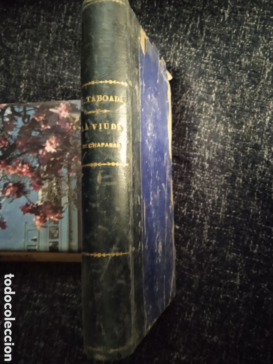 Libros antiguos: LA VIUDA DE CHAPARRO. / LUIS TABOADA. 1899. - Foto 2