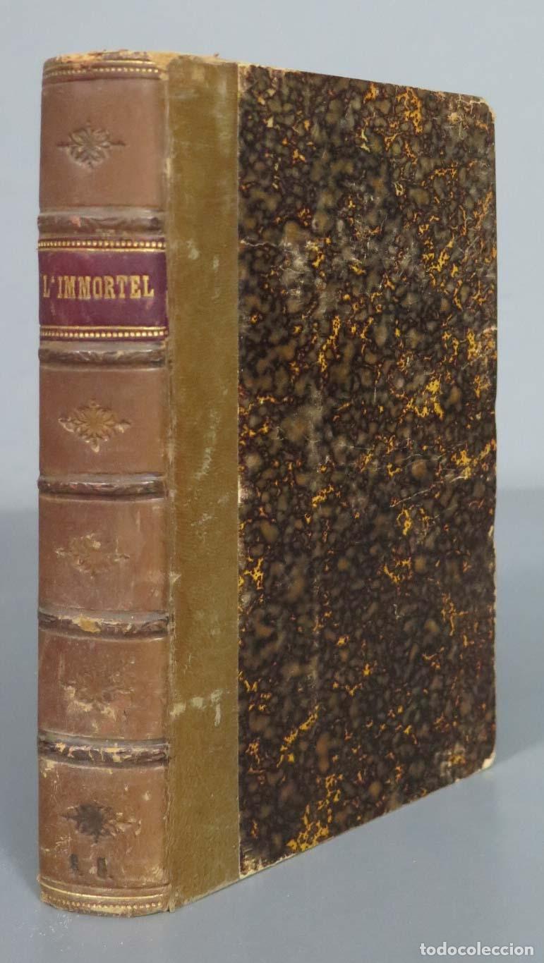 Libros antiguos: ALPHONSE DAUDET L&acute;IMMORTEL. 1888 - Foto 1