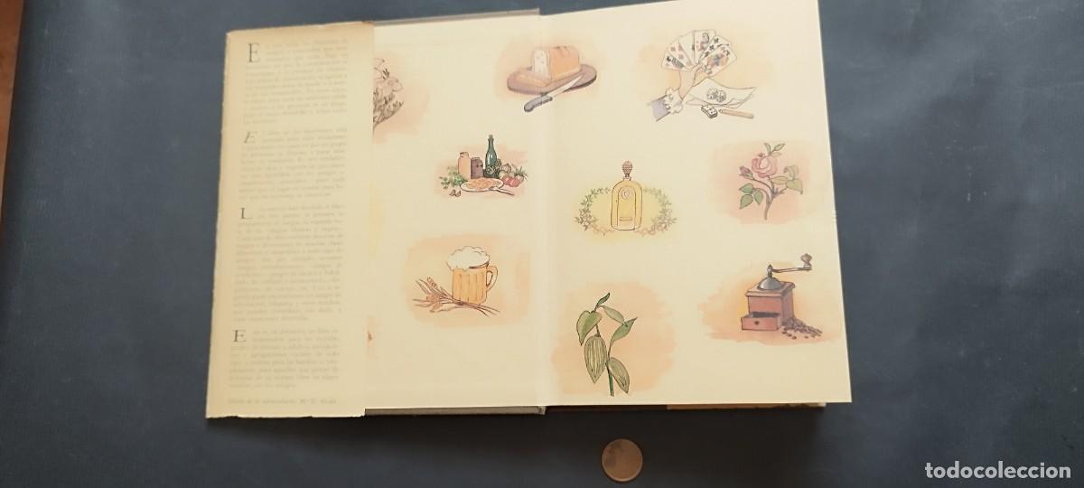 Libros antiguos: El libro de las diversiones&rdquo; - Pierre Berloquin y Fr&eacute;d&eacute;ric Vitoux - Foto 2