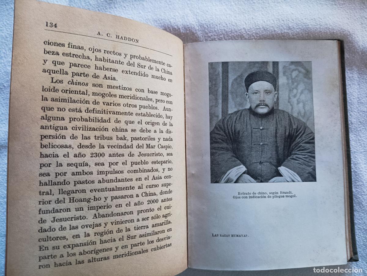Libros antiguos: Las razas humanas y su distribuci&oacute;n. A. C. Haddon - Foto 2
