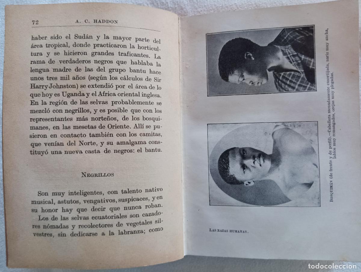 Libros antiguos: Las razas humanas y su distribuci&oacute;n. A. C. Haddon - Foto 3