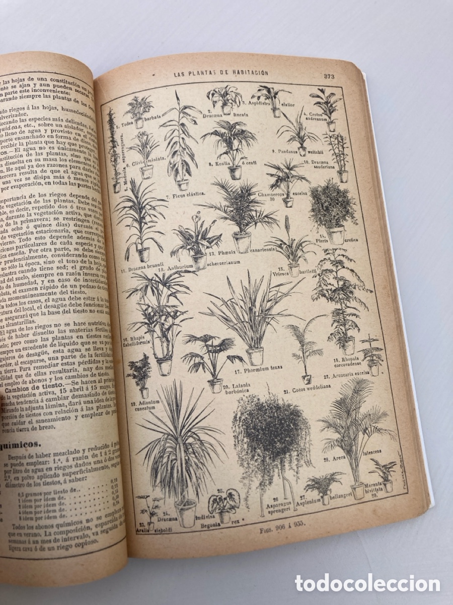 Libros antiguos: Libro curios del a&ntilde;o 1902. - Foto 12