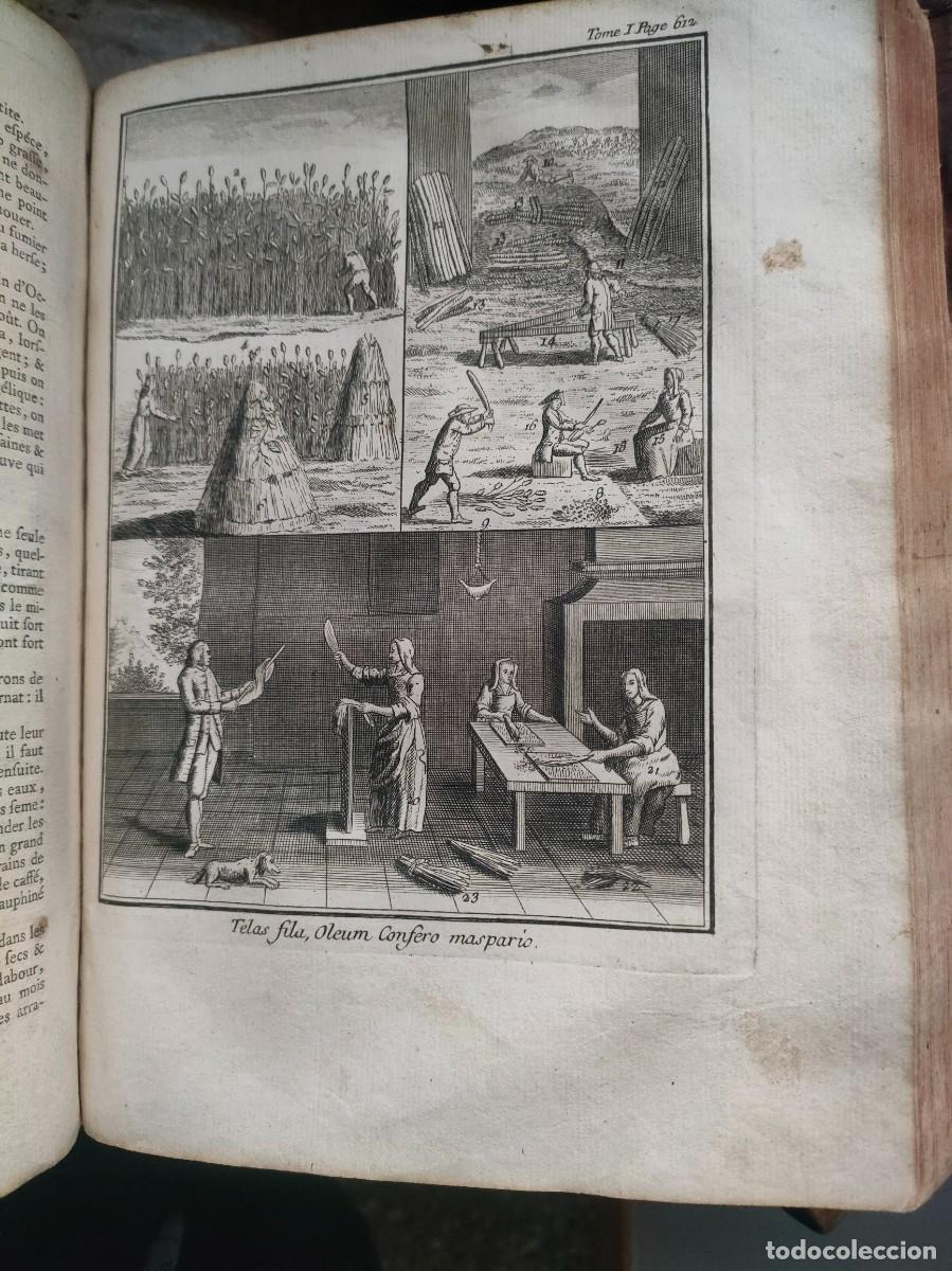 Libros antiguos: La Nouvelle Maison Rustique. Le Sieur Liger - Foto 5