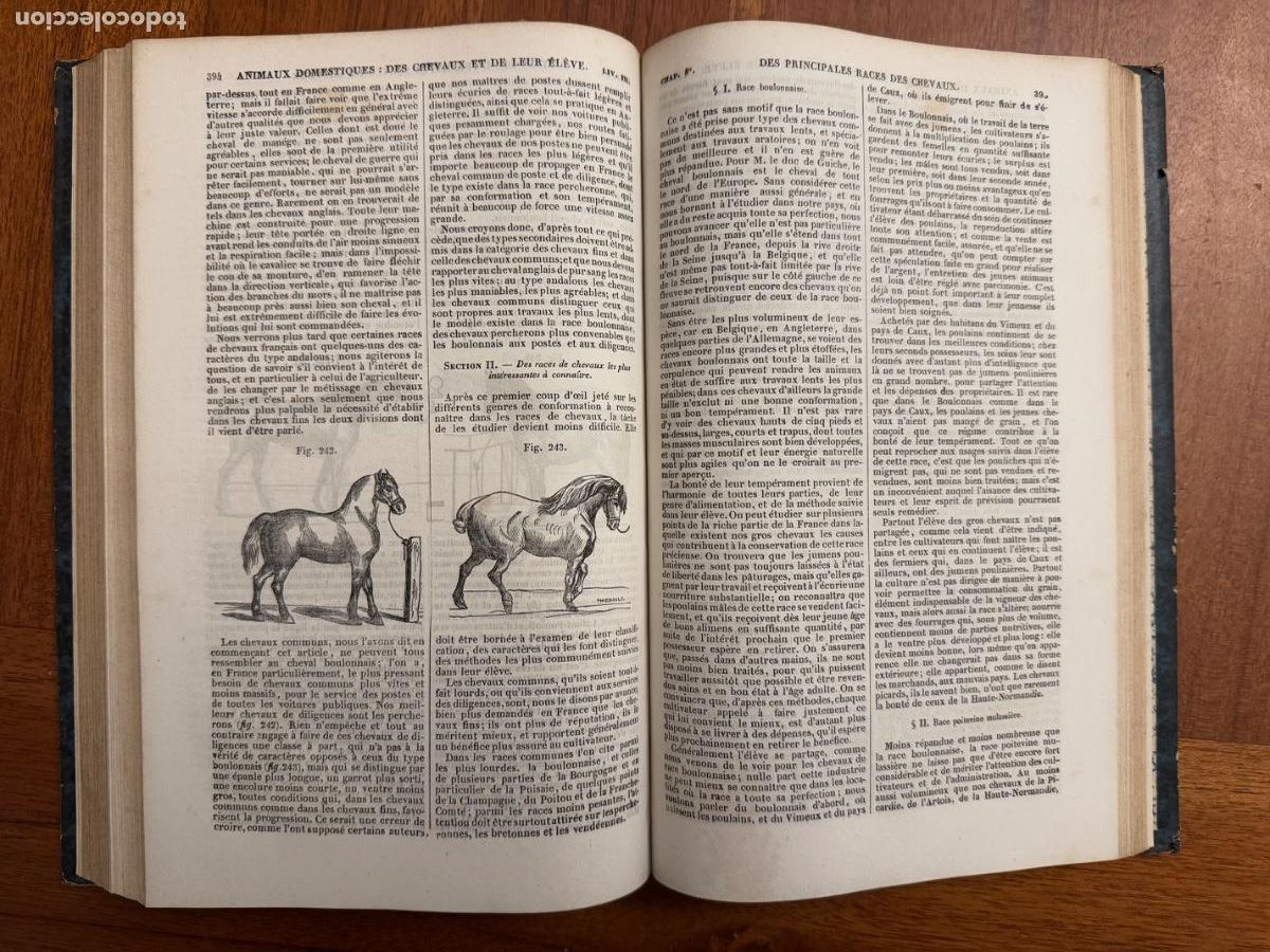 Libros antiguos: Maison Rustique du 19 si&egrave;cle. Tomos 2 y 3 Par&iacute;s - Foto 10