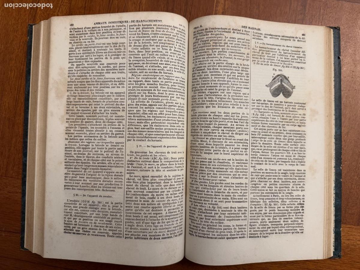 Libros antiguos: Maison Rustique du 19 si&egrave;cle. Tomos 2 y 3 Par&iacute;s - Foto 11