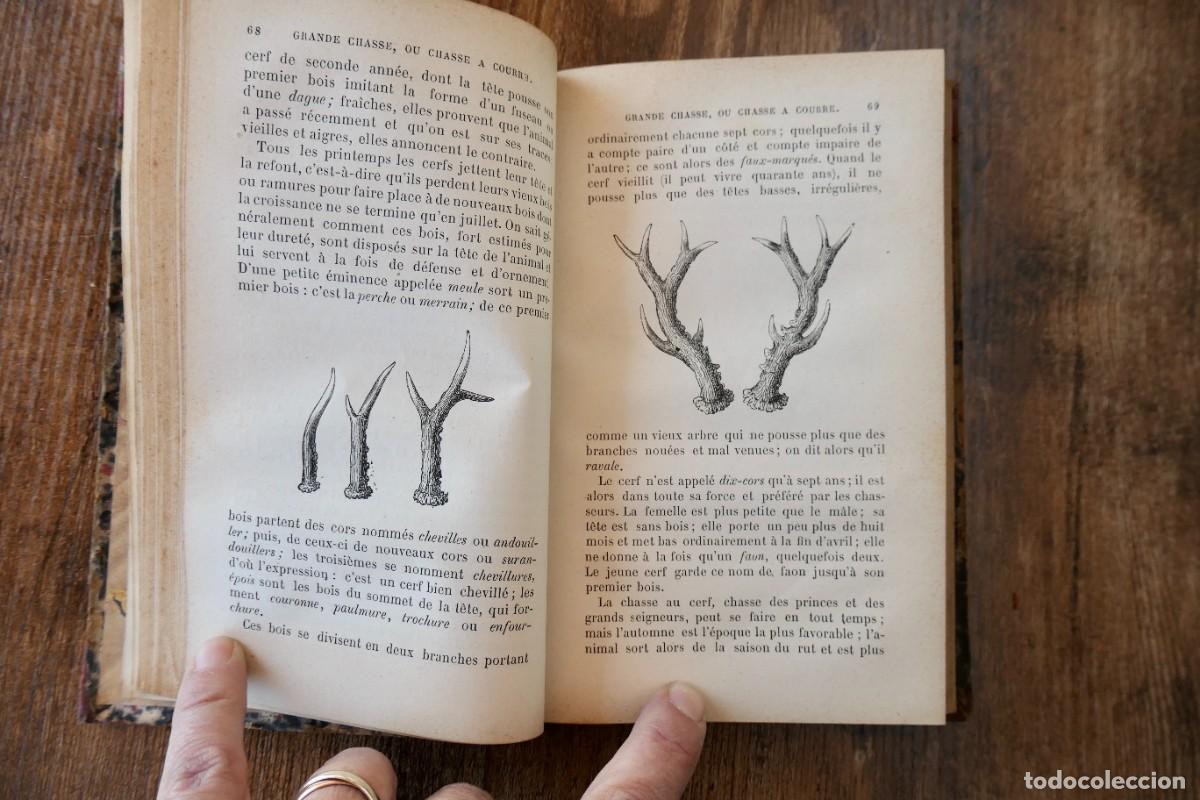 Libros antiguos: TRAITE DE LA CHASSE -RENE ET LIERSEL-1875 - Foto 3