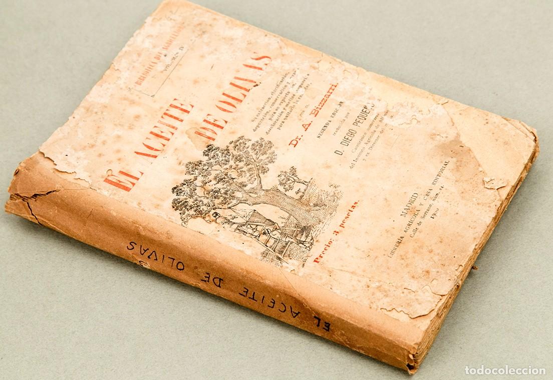 Libros antiguos: EL ACEITE DE OLIVAS - ALEJANDRO BIZZARRI - 1900 - Foto 2