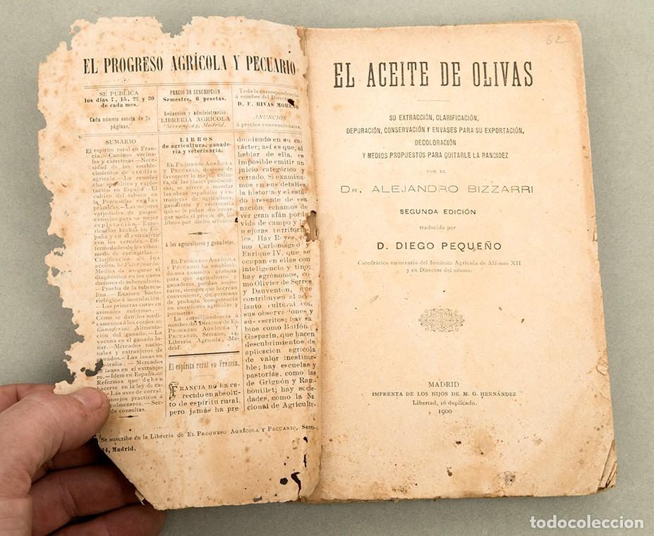 Libros antiguos: EL ACEITE DE OLIVAS - ALEJANDRO BIZZARRI - 1900 - Foto 3